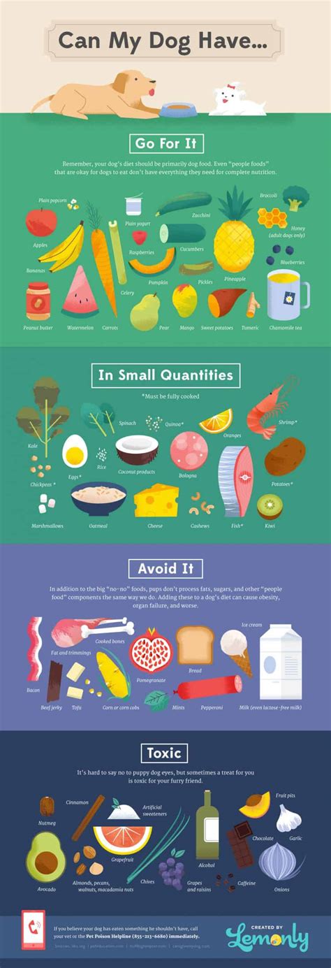 Many veterinarians recommend against feeding dogs human food, and they have a point! Surprisingly Toxic Foods Dogs Can't Have | Daily Infographic