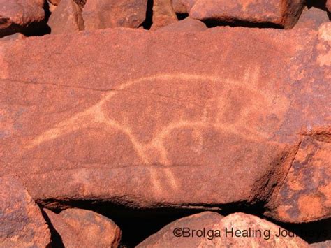 Aboriginal Rock Art Of The Burrup Peninsula Brolga Healing Journeys