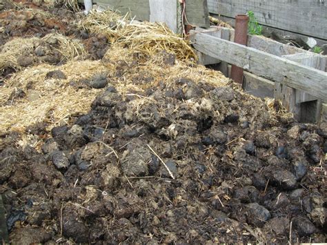 About Manure Composting Benefits And Use