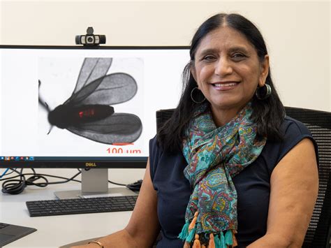 Uq Research To Revolutionise Pest Control Around The World
