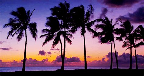 Beach bali sunset hd wallpapers indonesia hidden 1080p background beaches ocean island desktop sand waves rocks sky nature trees clouds. MegaDrive | Summer gif, Beach pictures, Beach photos