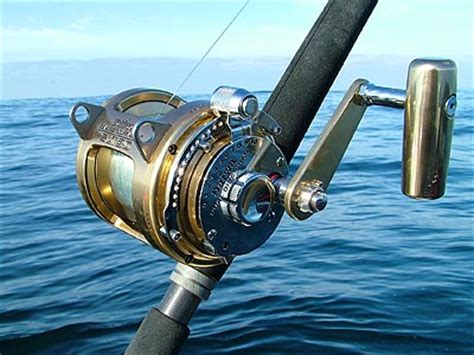 Humboldt Squid Fishing With Daiwa Sealine SLT30 Fishing Reel