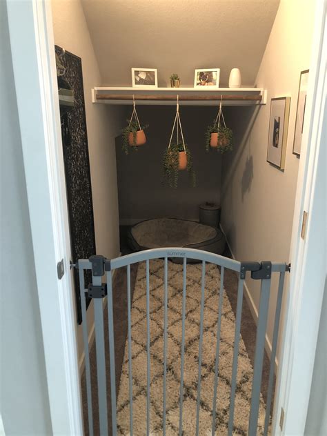 Dog Room Ideas Under Stairs Les Walls