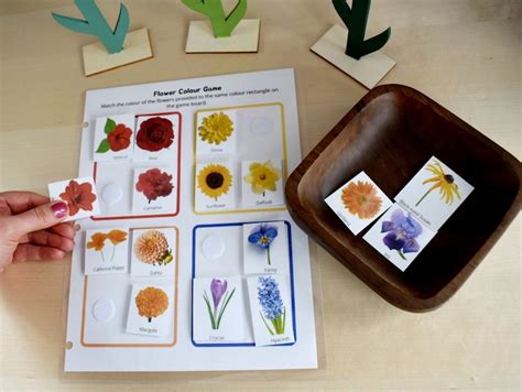 Preschool Printable Flower Colour Matching Game Montessori Inspired