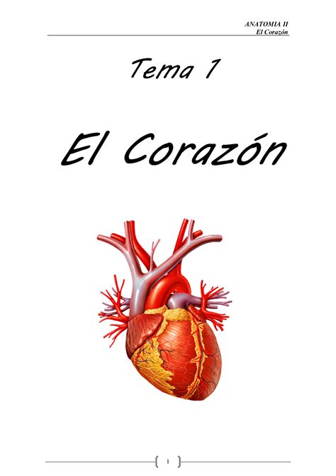 Tema 1 El Corazon Corazón El Corazón Tema 1 El Corazón El Corazón
