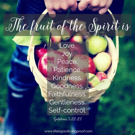 Looking For The Fruit Fruit Of The Spirit Life Verses God Loves Me