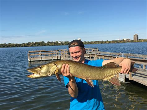 Big Muskie Caught While Bass Fishing On Calhoun Smallmouth