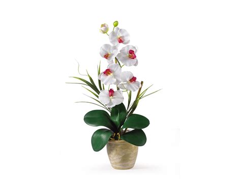 Artificial Phalaenopsis White Orchid Silk Flowers