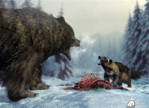 Artstation Wolverine Vs Grizzly