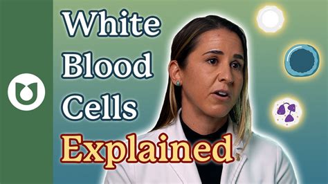 What Are White Blood Cells Youtube