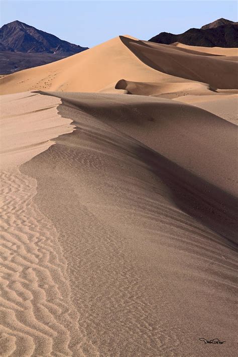 Ibex Dunes Photograph By David Salter Fine Art America