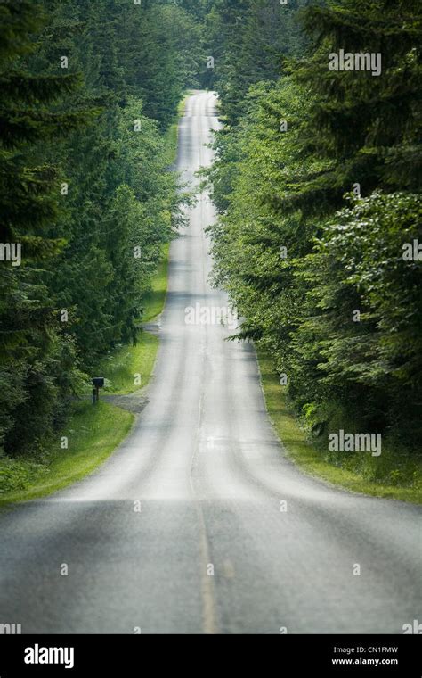 Tree Lined Country Road Stock Photo Alamy