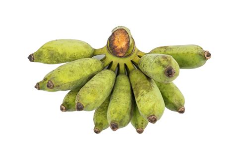 Bando De Bananas Verdes Cruas Orgânicas Guinéu Musa Acuminata Isolado