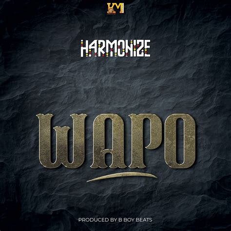 Audio Harmonize Wapo Download Dj Mwanga