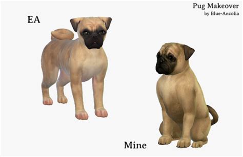 Download Blue Ancolia Sims 4 Pets Sims Pets Sims 4 Dog