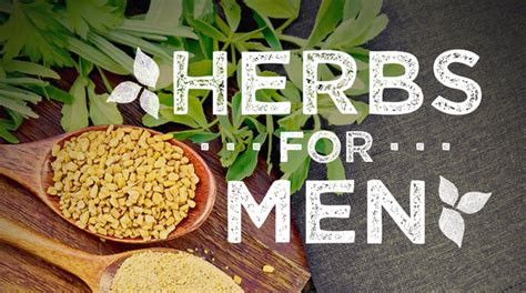What Are The Best Herbs For Men Naturesplus