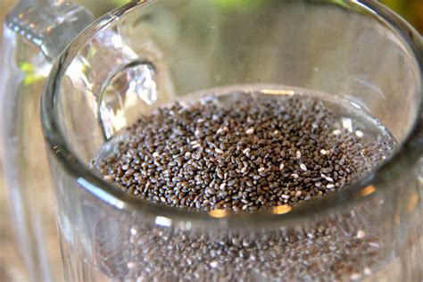 How To Drink Chia Seeds 8 Benefits