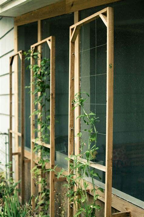 Diy Trellis With Wooden Frame And Wire Diy Garden Trellis Garden Vines