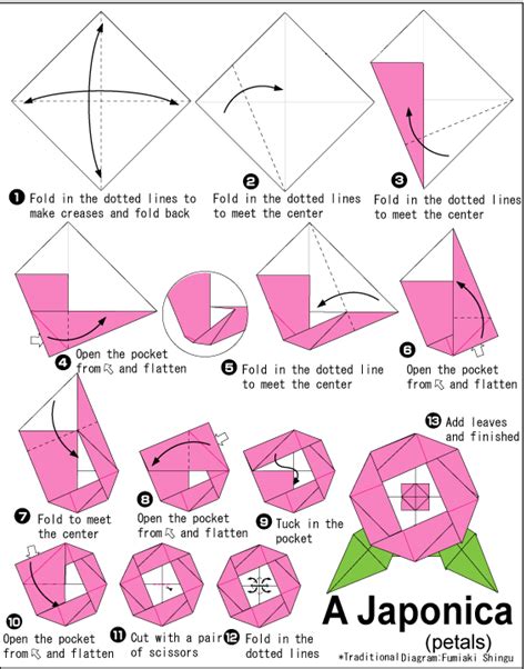 Camellia Japonica Easy Origami Instructions For Kids