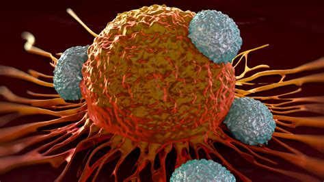 Effective Cancer Immunotherapy Further Linked To Regulating A Cell