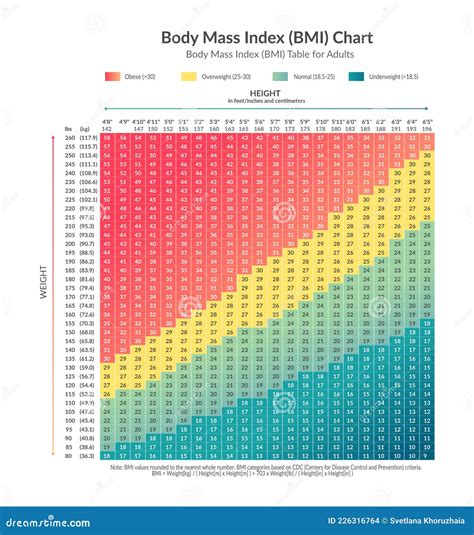 Illustrazione Con Il Grafico Bmi Dell Indice Di Massa Corporea