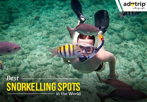 20 Best Snorkelling Spots In The World