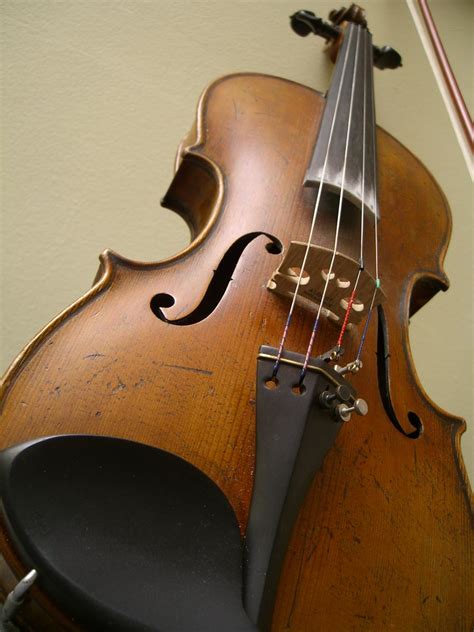 Fiddle William Flickr