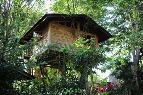 13 best bali treehouse rentals for 2022 top treehouses