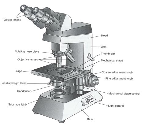 Parts Of A Microscope Microscope Parts Science Diagrams Scientific