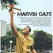 Marvin Gaye - Icon - CD - Walmart.com - Walmart.com