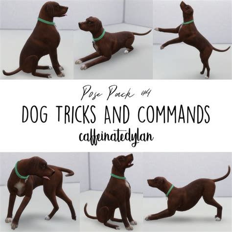 Dog Tricks And Commands Pose Pack Dog Hacks Sims 4 Sims 4 Pets