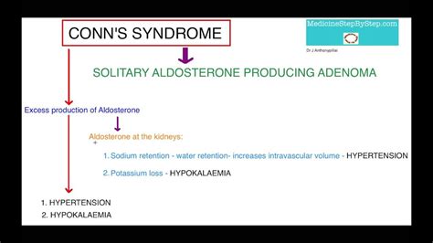 Understanding Conn S Syndrome YouTube