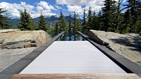 Grass Edge Peekaboo Refresh Your Backyard With The Latest Pool Trends Pool Contractors
