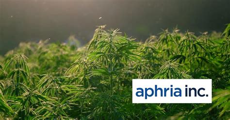 Five Reasons To Buy Aphria Apha Stock Before Tilray Tlry Merger