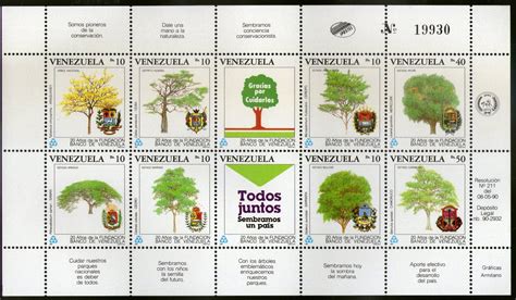 Details 48 árboles Emblemáticos De Venezuela Abzlocalmx