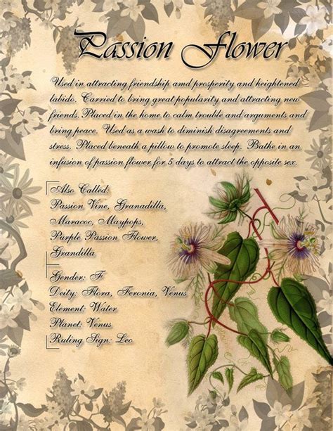 Book Of Shadows Herb Grimoire Passion Flower By Conigma Book Of