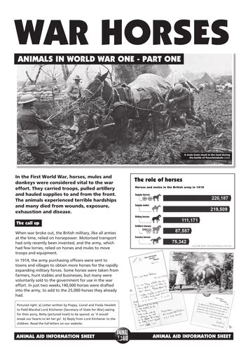 War Horses Factsheet Teaching Resources