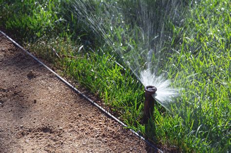 Lawn Sprinkler Watering System Copyright Free Photo By M Vorel