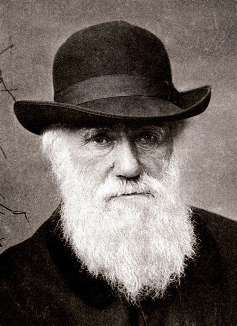 Día De Darwin 12 De Febrero 2021