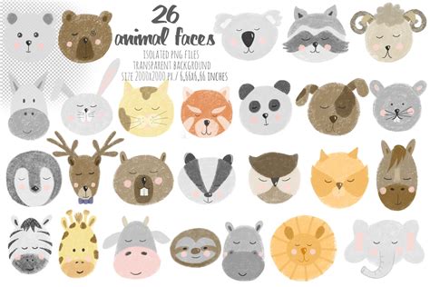 26 Animal Faces 424218 Elements Design Bundles
