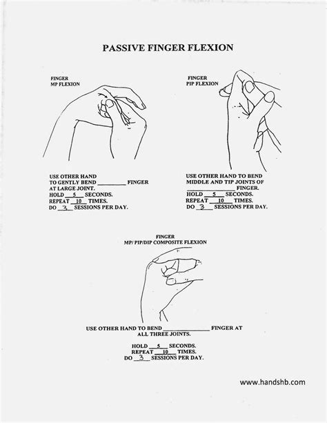 Hb Hands Passive Finger Flexion