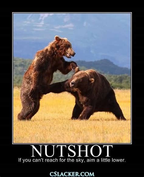 The truly good and wise man will bear all kinds of fortune in a seemly way, and will always act in the noblest manner that the circumstances allow. 25 Funny Bear Quotes and Sayings Images | QuotesBae