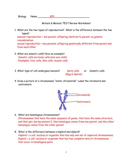 Answer Key Practice Questions Review Mitosis Meiosis Meiosis Hot Sex