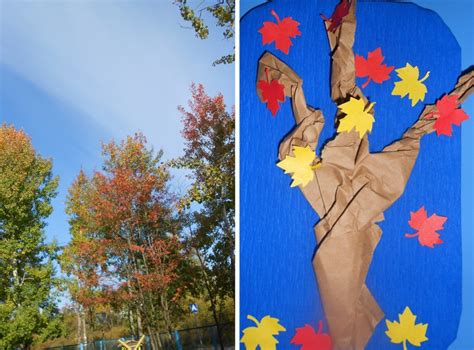 Construction Paper Autumn Maple Leaf Trees Kindergarten Craft
