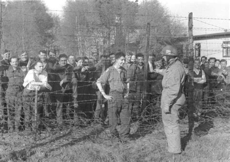 8 Hussars Liberated The Pow Camp Stalag Xi B