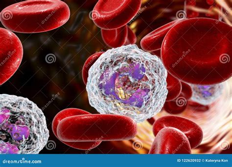 Neutrophil Granulocytes Cartoon Vector 68484785