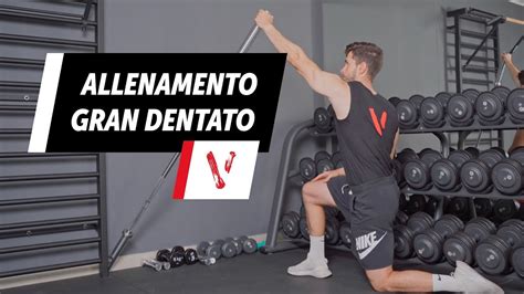 Esercizi Gran Dentato Programma Di Allenamento Youtube