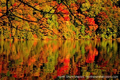 Fall Color Images For The Minnesota North Shore Duluth And Grand Marais