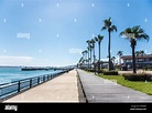 Imagiri Park,Lake Hamanako,Kosai City,Shizuoka Prefecture,Japan Stock ...