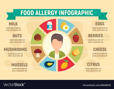 Food Allergy Infographic Flat Style Royalty Free Vector